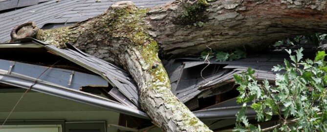Storm Damage Repair in Maple Grove