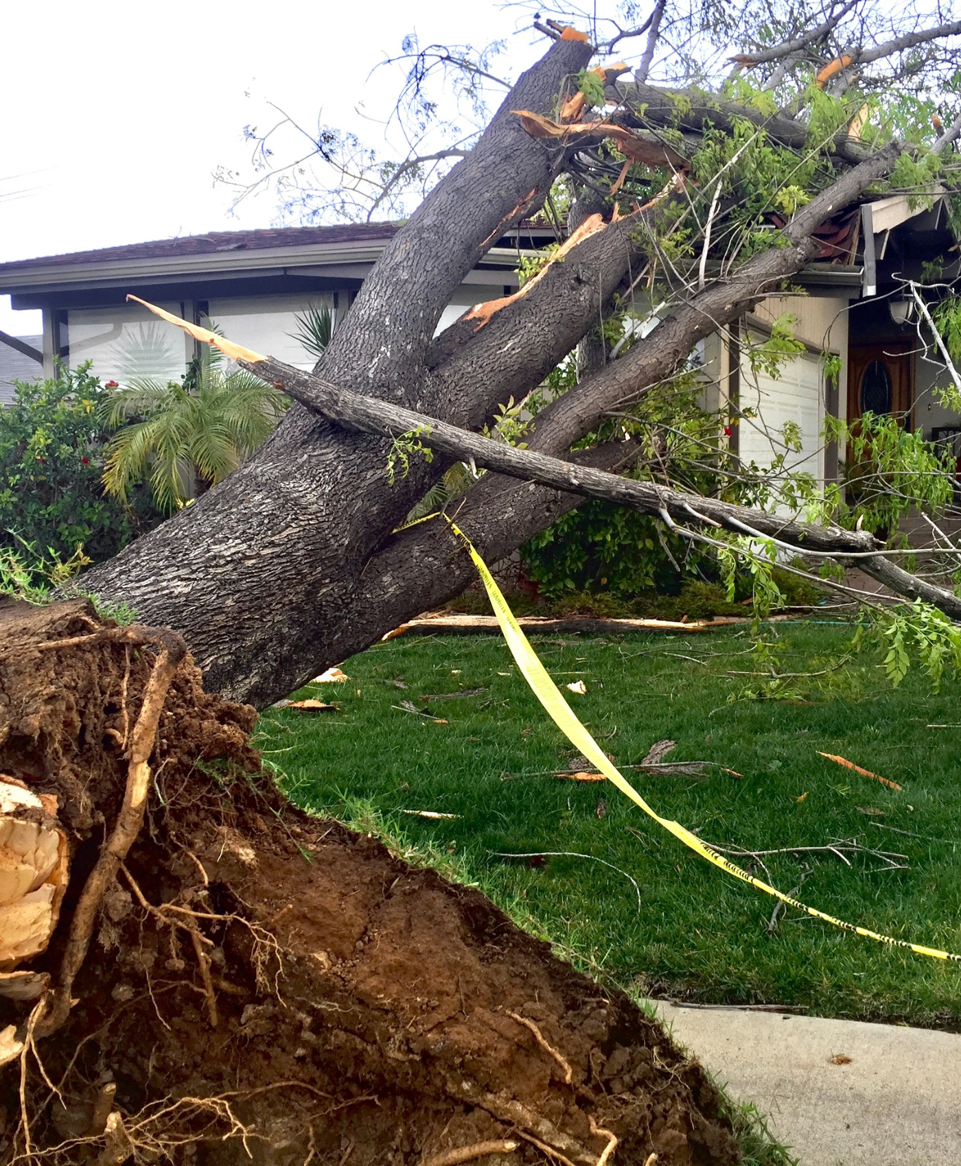 2 Natural disasters effect on property. A tree falls on a family home in a suburban neighborhood