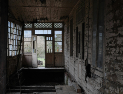 The Crucial Importance of Professional Mold Removal in Your Midwest Home