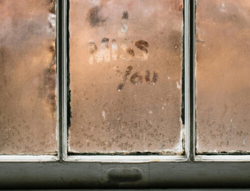 How to Replace Windows in Your Home (And When to Call a Pro)