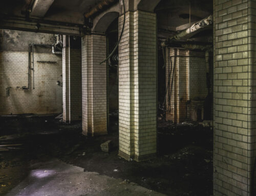 Basement Flooding 101: The Exact Steps To Take And Who To Call